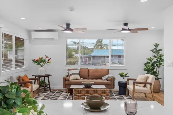 a living room with furniture and a potted plant