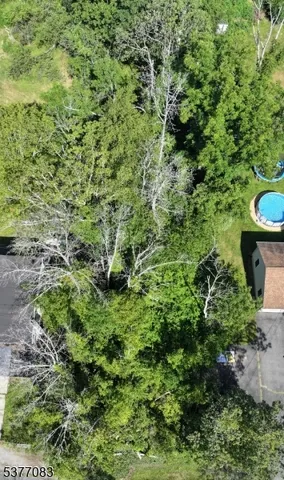 a view of a garden with a plant