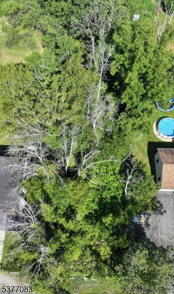 19 East Shore Lake Owassa Road Newton, NJ 07860 - Photo 2 of 4 a view of a garden with a plant