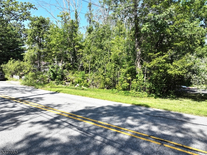 19 East Shore Lake Owassa Road Newton, NJ 07860 - Photo 3 of 4 a view of a yard with yellow space