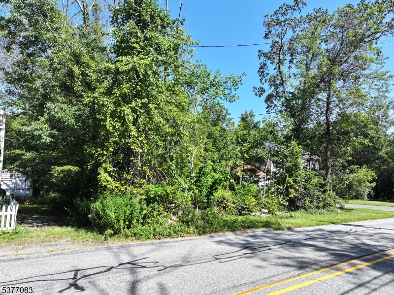 19 East Shore Lake Owassa Road Newton, NJ 07860 - Photo 4 of 4 a view of a yard with plants and large trees