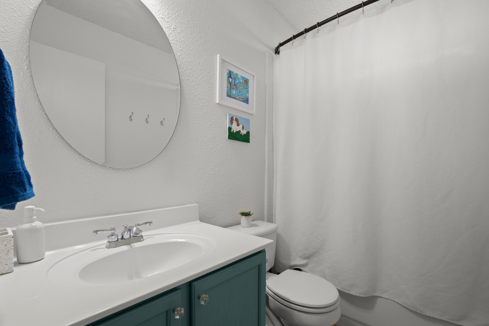 1205 Crossvine Way Pflugerville, TX 78660 - Photo 14 of 20 a bathroom with a sink toilet and a mirror