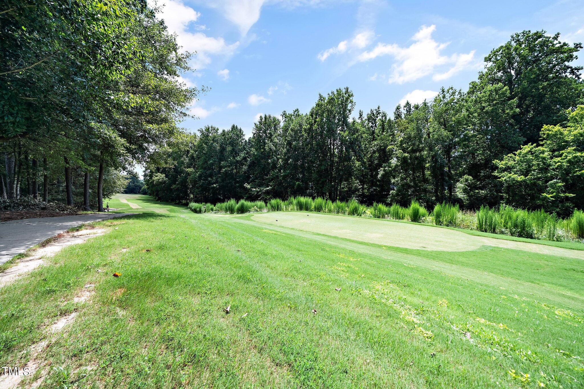 12305 Beestone Lane Raleigh, NC 27614 - Photo 38 of 42 43-web-or-mls-12305 Beestone-11
