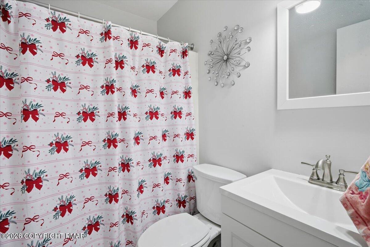 8824 Laird Road Stroudsburg, PA 18360 - Photo 42 of 53 a bathroom with a sink and a toilet