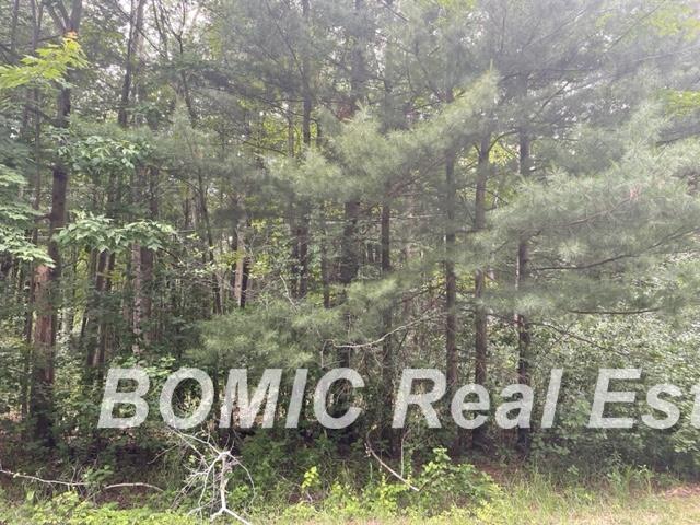9676 Marshall Road Birch Run, MI 48415 - Photo 2 of 3
