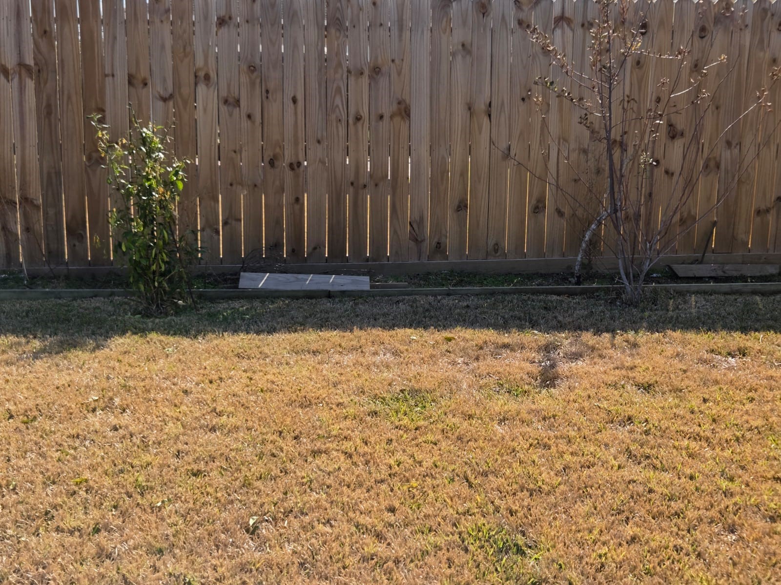 7019 Brody Lane Houston, TX 77083 - Photo 25 of 26 a view of a pathway with a wooden fence