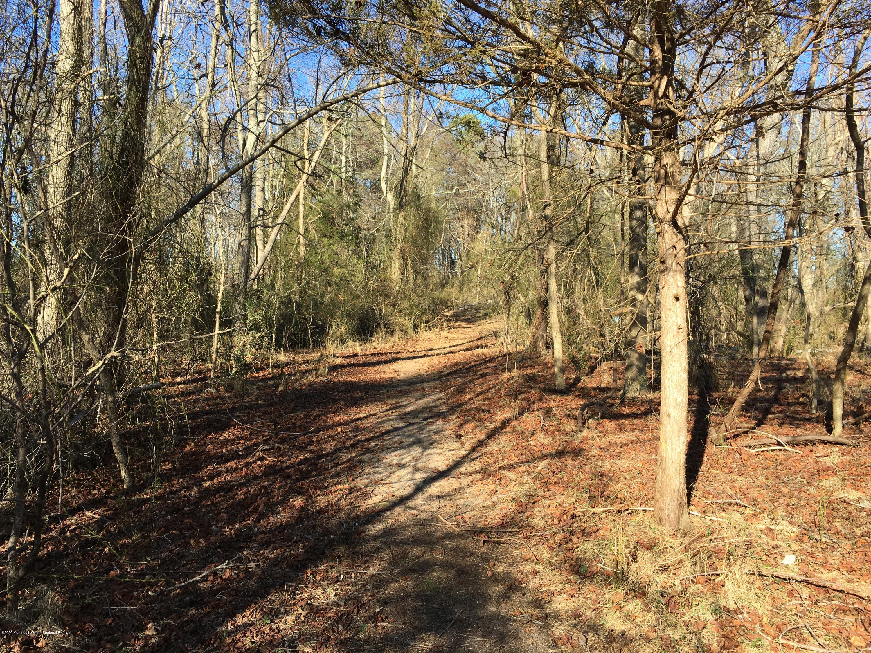 399 Georgia Road Freehold, NJ 07728 - Photo 7 of 12 Trail