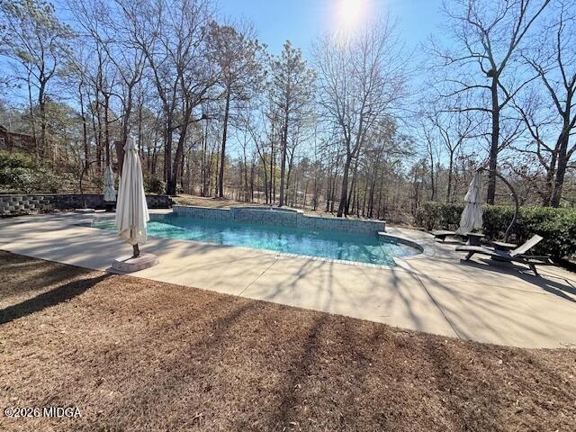 329 Eagle Ridge Road Macon, GA 31216 - Photo 6 of 32 eaglepool2