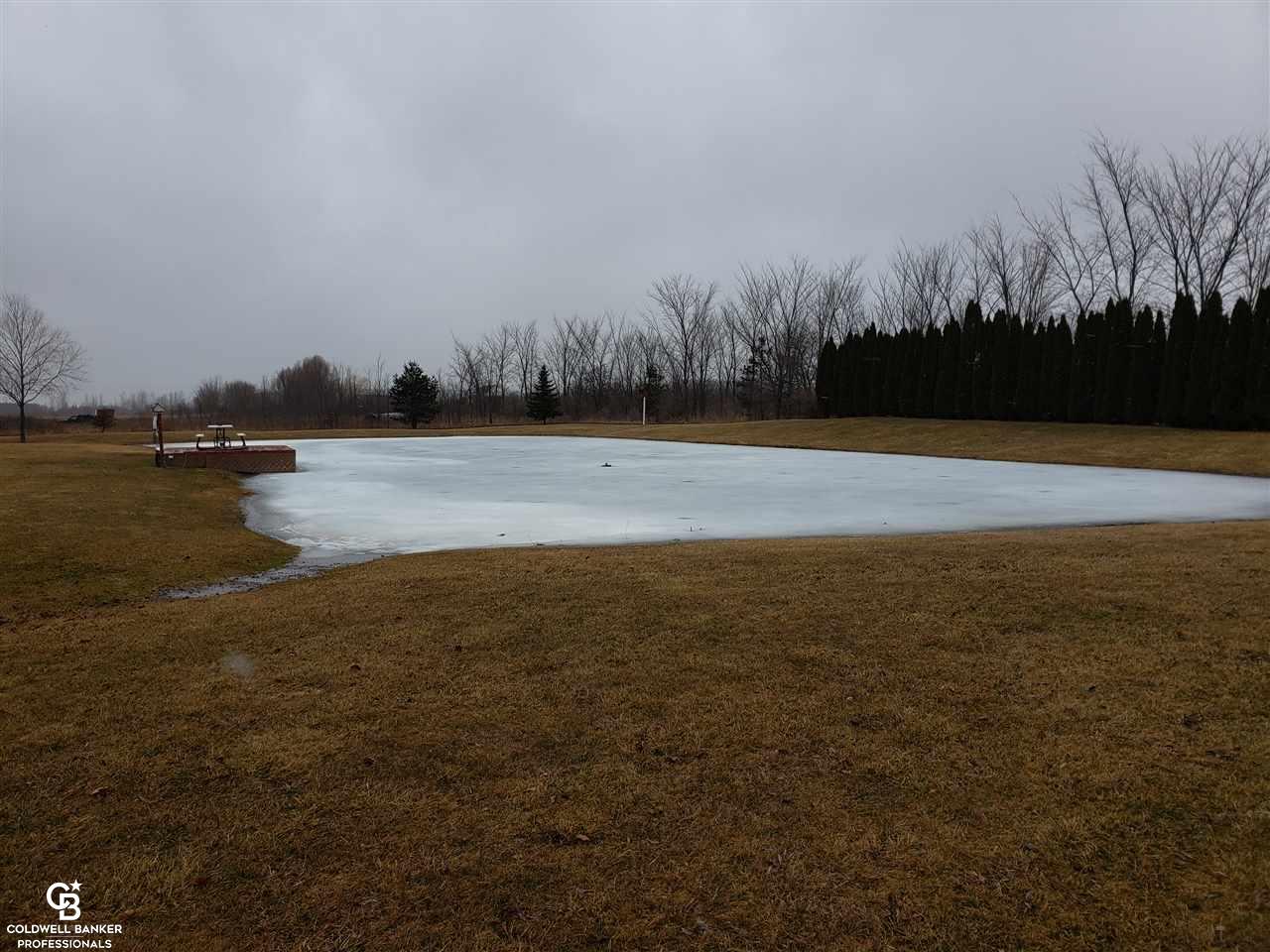 8656 Kilgore Road Avoca, MI 48006 - Photo 35 of 46 Pond View 3