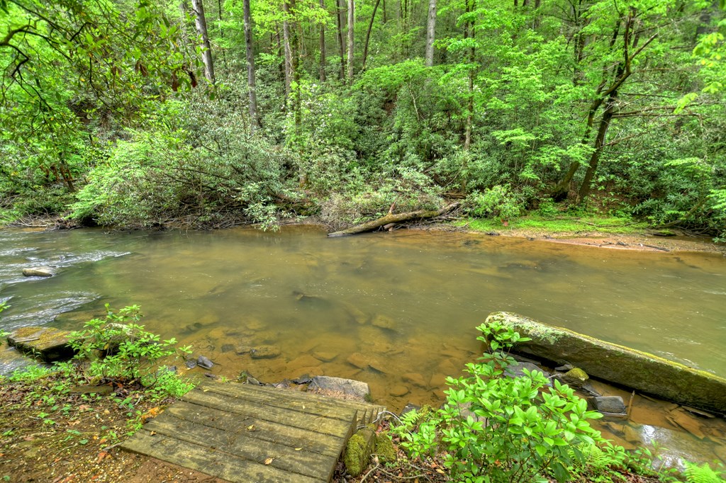 300 River Road Cherry Log, GA 30522 - Photo 74 of 119