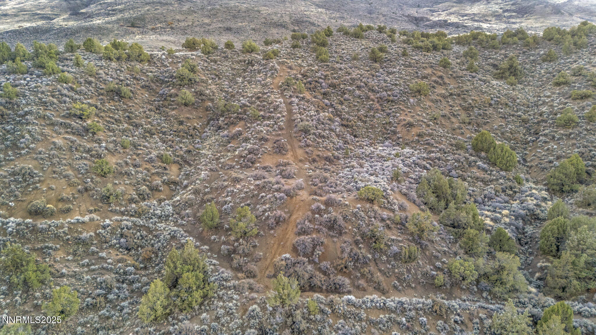 0 Woodchuck Circle, Unit 4105124 Reno, NV 89519 - Photo 23 of 30 a close up of a plant in a field