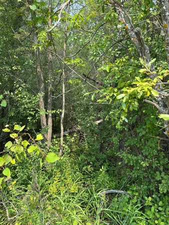 $35,000 | 107 County Road 107, International Falls, MN 56649