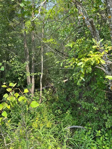 $35,000 | 107 County Road 107, International Falls, MN 56649