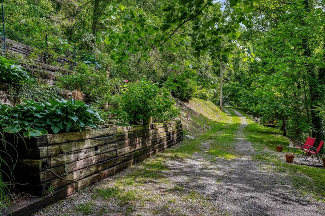 a view of a park with large trees