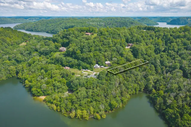 a view of a lake with a yard