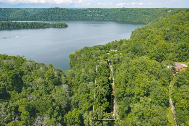 a view of a lake with a yard and large trees