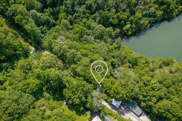 a close up of a lush green forest with houses