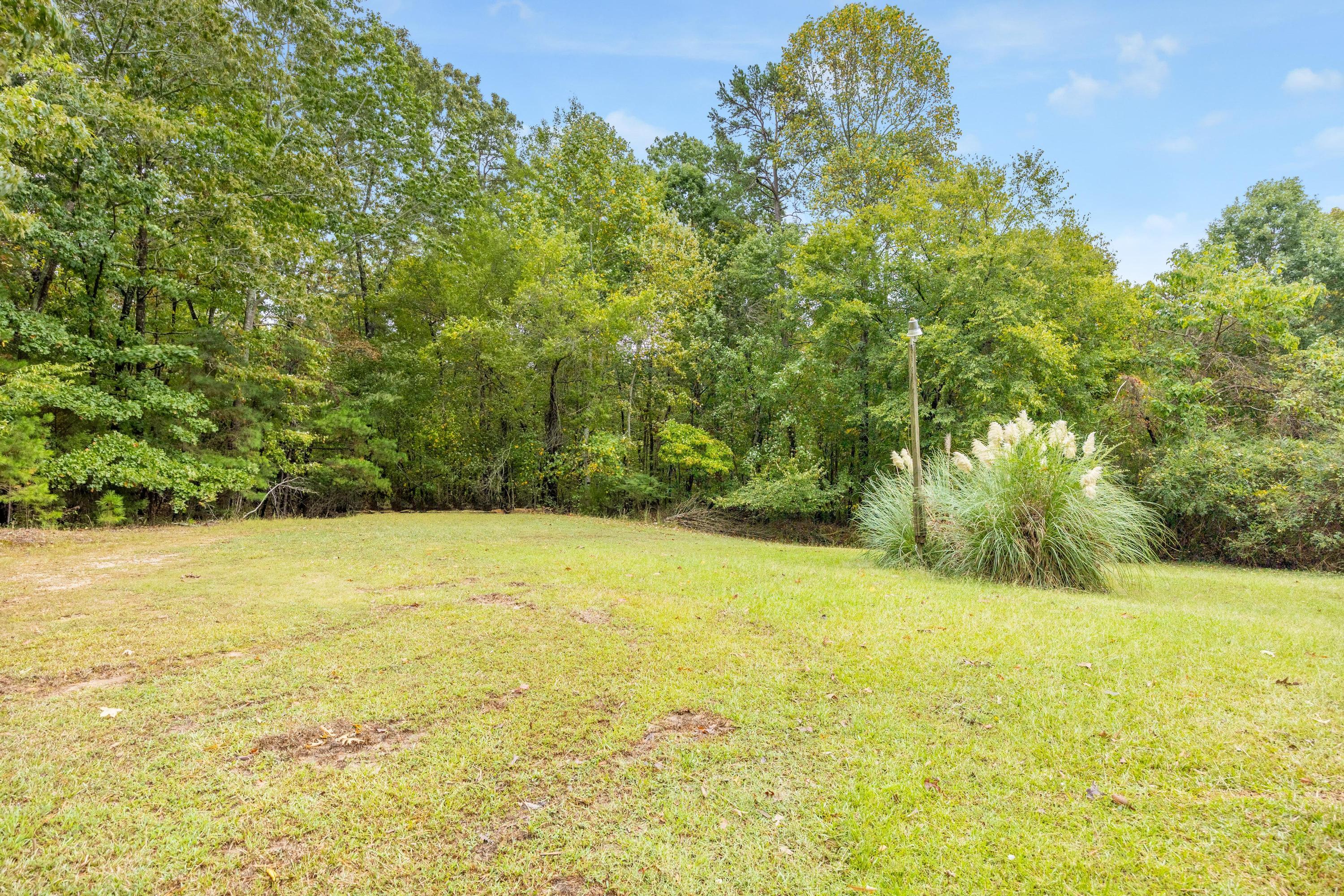339 Oak Tree Road Ringgold, GA 30736 - Photo 23 of 31 Back Yard