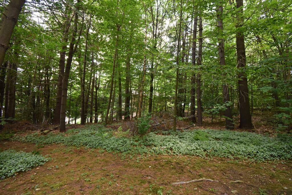 188 Telephone Road Otis, MA 01029 - Photo 33 of 34 Gallery Image 33