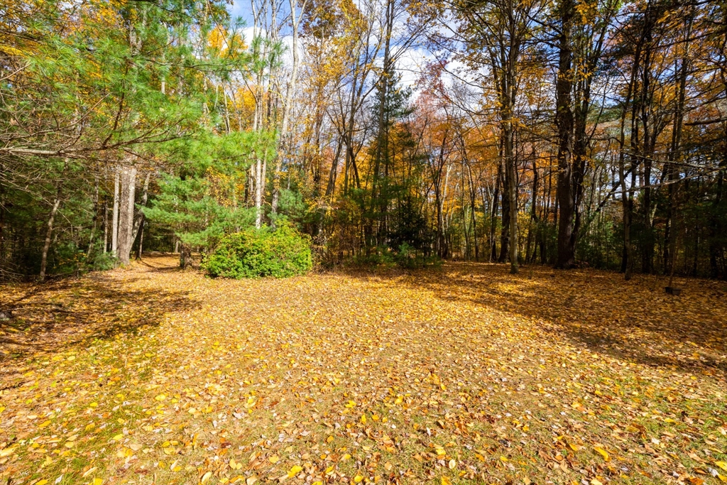 61 Page Road Lincoln, MA 01773 - Photo 11 of 13