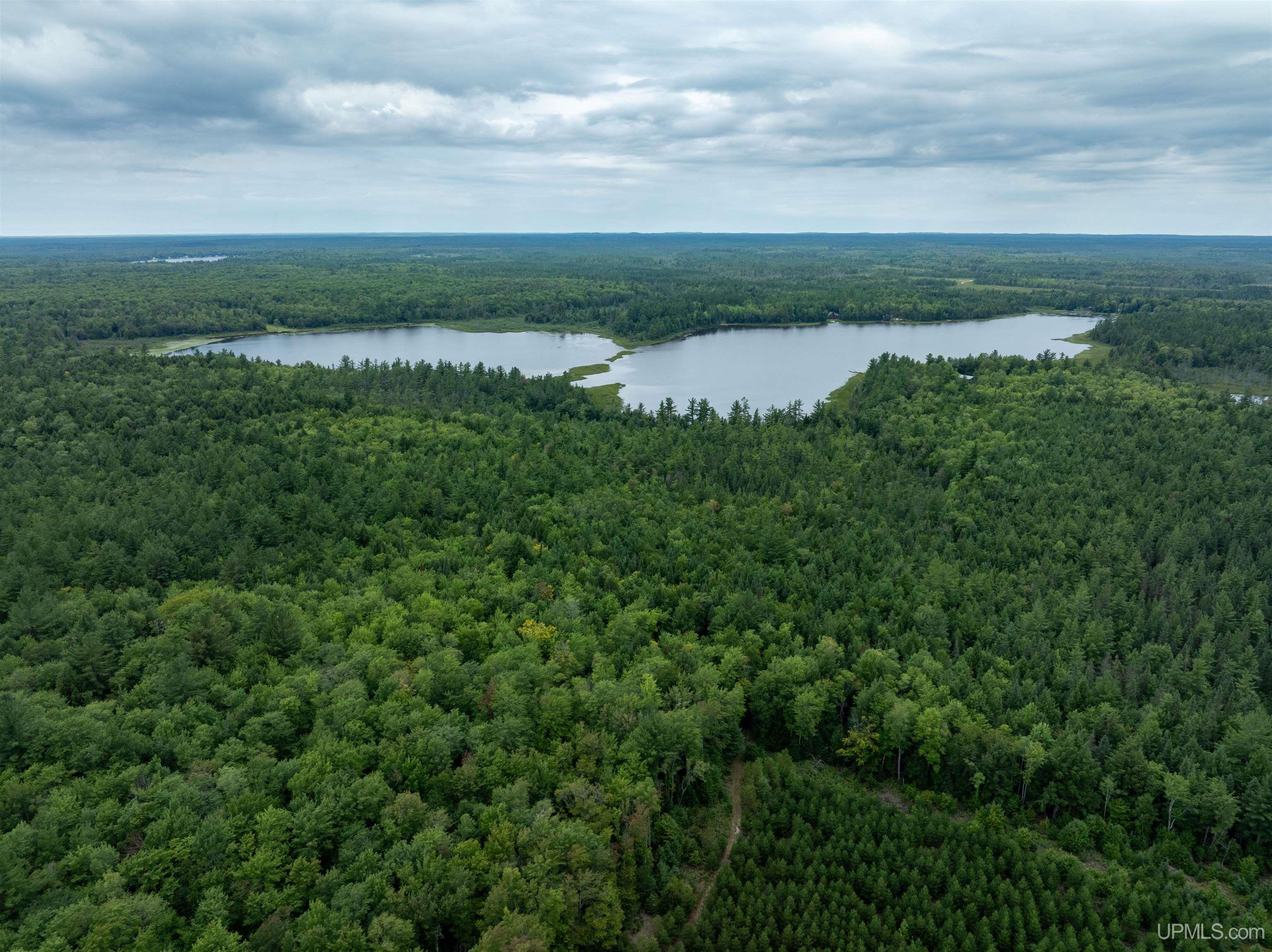 Tbd Round Lake Road Munising, MI 49862 - Photo 3 of 13