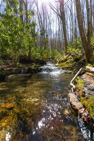 $76,500 | Lot 48 Bearwallow Ridge Trail, Unit 48C, Maggie Valley, NC 28751