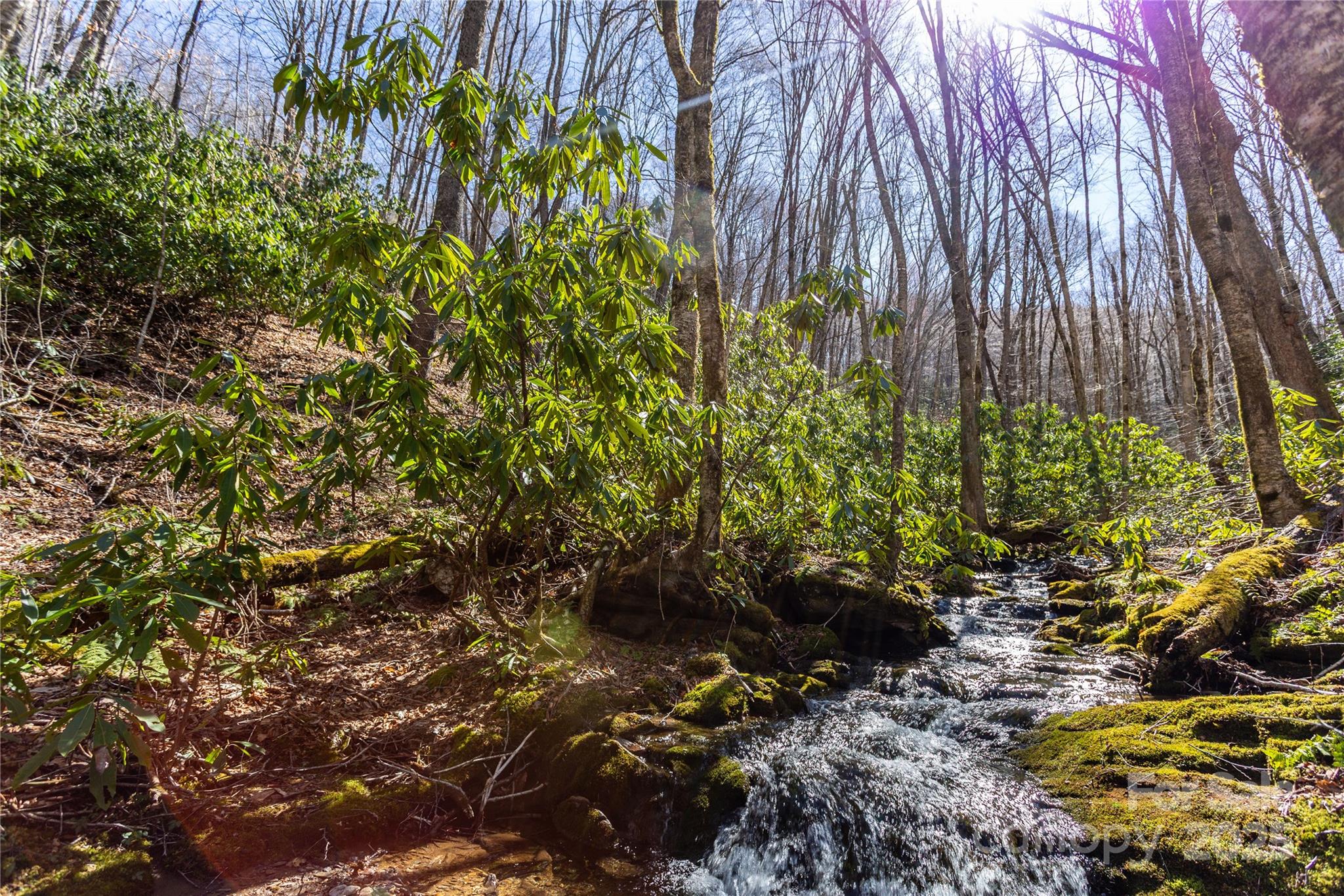 Lot 48 Bearwallow Ridge Trail, Unit 48C Maggie Valley, NC 28751 - Photo 13 of 37