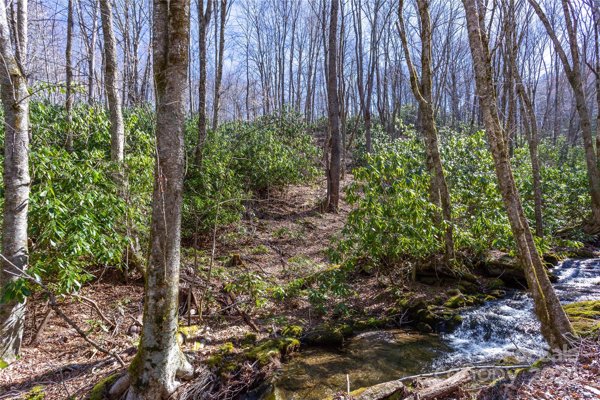 Lot 48 Bearwallow Ridge Trail, Unit 48C Maggie Valley, NC 28751 - Photo 14 of 37