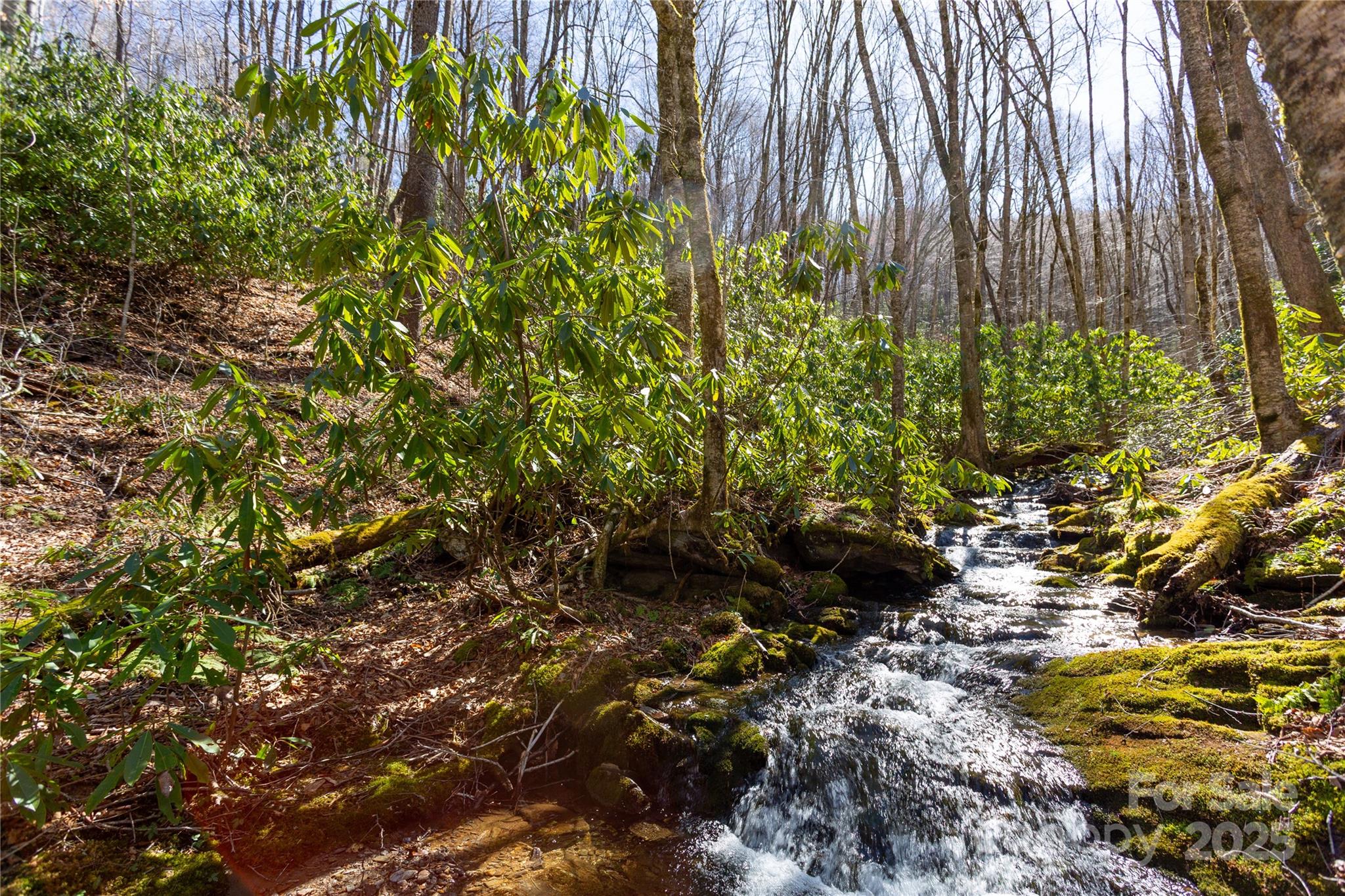 Lot 48 Bearwallow Ridge Trail, Unit 48C Maggie Valley, NC 28751 - Photo 15 of 37