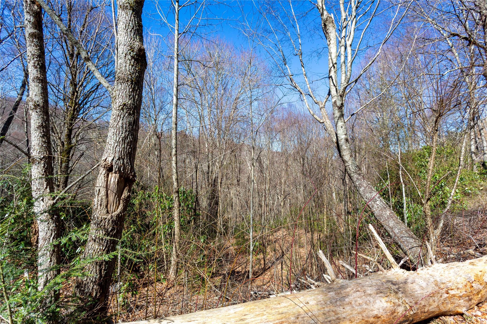 Lot 48 Bearwallow Ridge Trail, Unit 48C Maggie Valley, NC 28751 - Photo 16 of 37