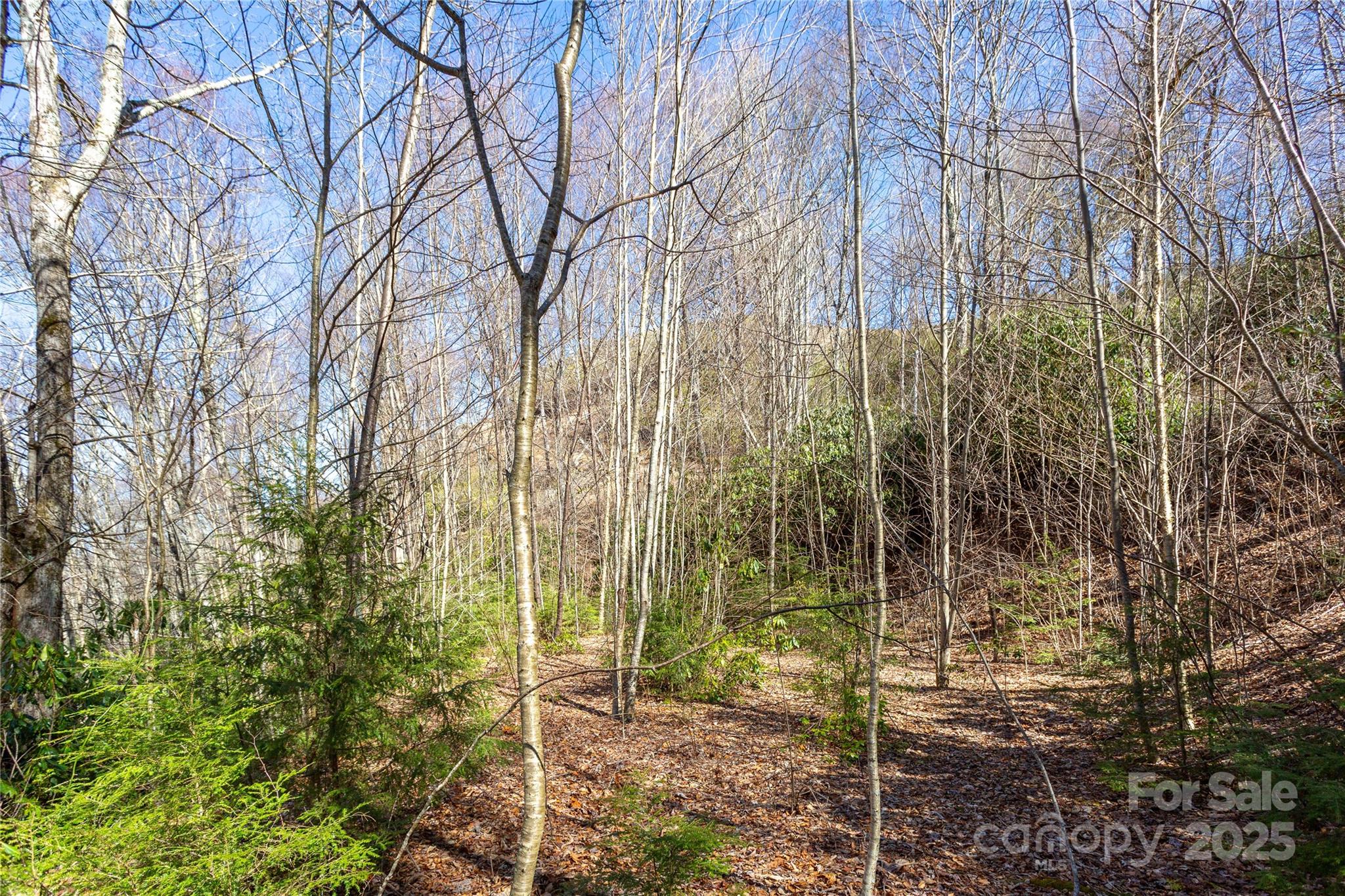 Lot 48 Bearwallow Ridge Trail, Unit 48C Maggie Valley, NC 28751 - Photo 19 of 37