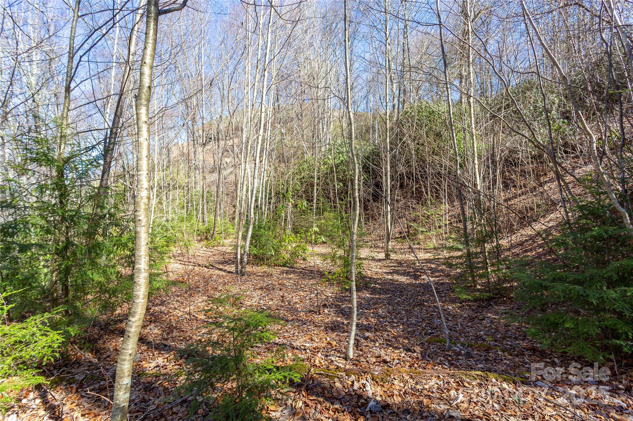 Lot 48 Bearwallow Ridge Trail, Unit 48C Maggie Valley, NC 28751 - Photo 20 of 37