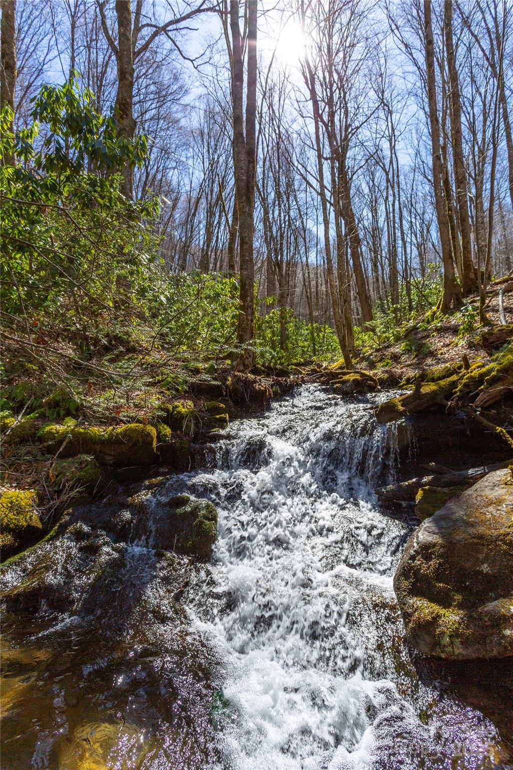 Lot 48 Bearwallow Ridge Trail, Unit 48C Maggie Valley, NC 28751 - Photo 2 of 37