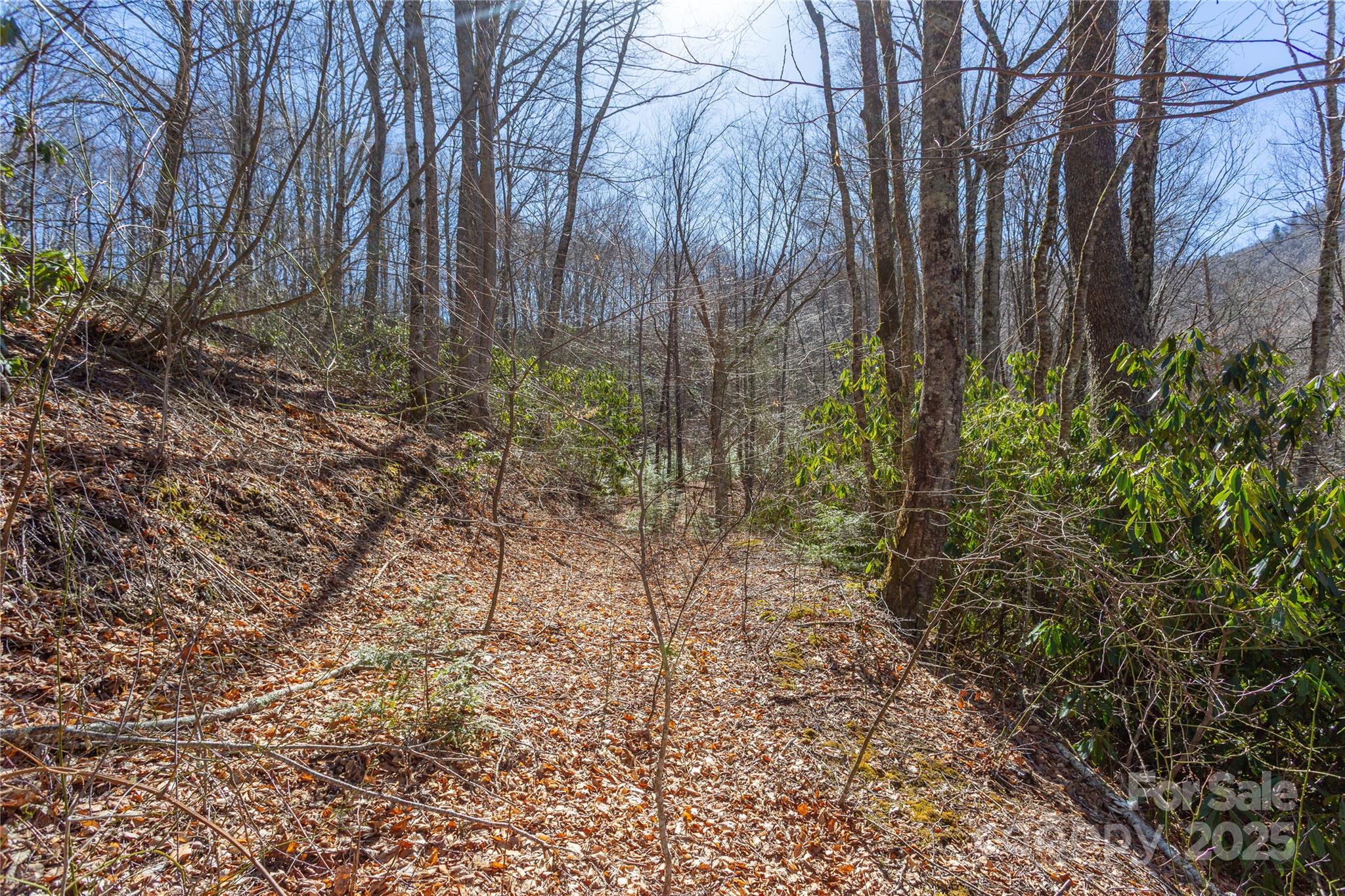 Lot 48 Bearwallow Ridge Trail, Unit 48C Maggie Valley, NC 28751 - Photo 23 of 37