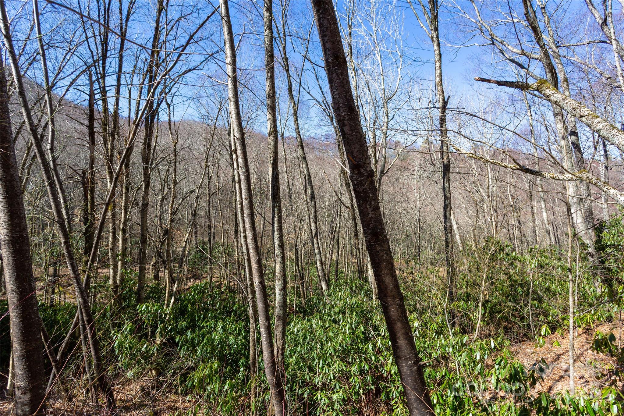 Lot 48 Bearwallow Ridge Trail, Unit 48C Maggie Valley, NC 28751 - Photo 25 of 37