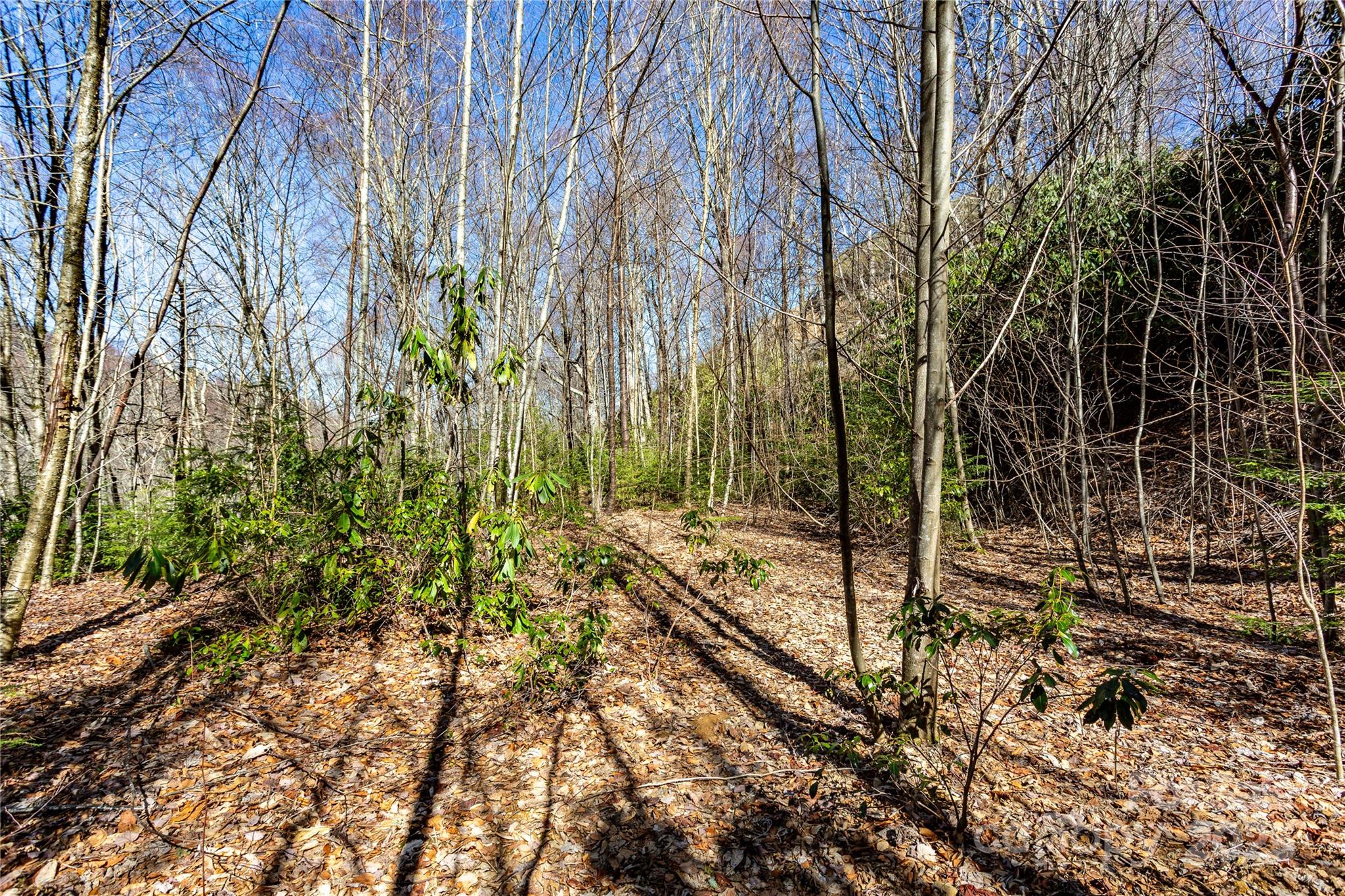 Lot 48 Bearwallow Ridge Trail, Unit 48C Maggie Valley, NC 28751 - Photo 28 of 37