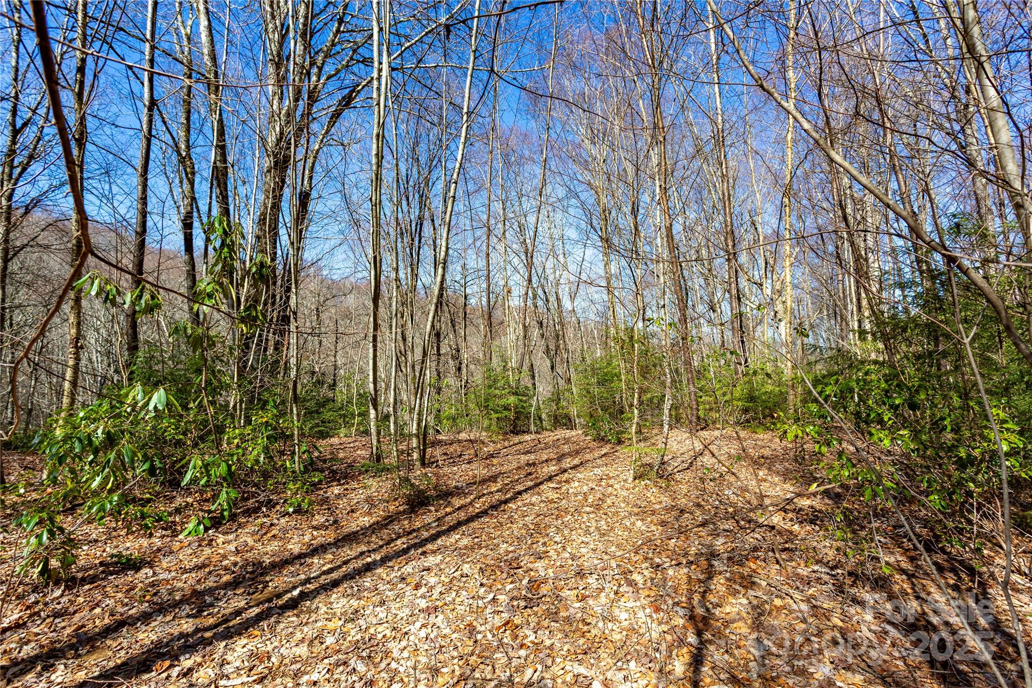 Lot 48 Bearwallow Ridge Trail, Unit 48C Maggie Valley, NC 28751 - Photo 29 of 37