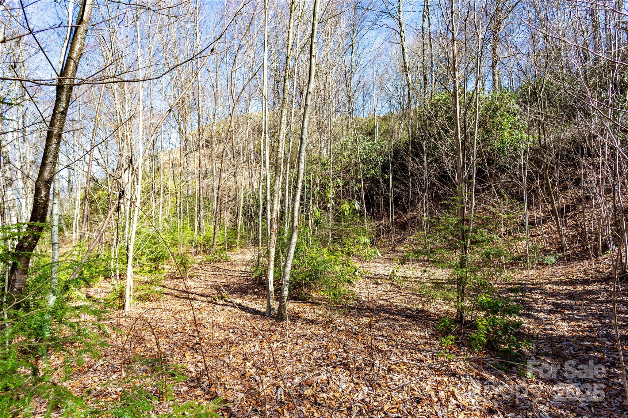 Lot 48 Bearwallow Ridge Trail, Unit 48C Maggie Valley, NC 28751 - Photo 30 of 37