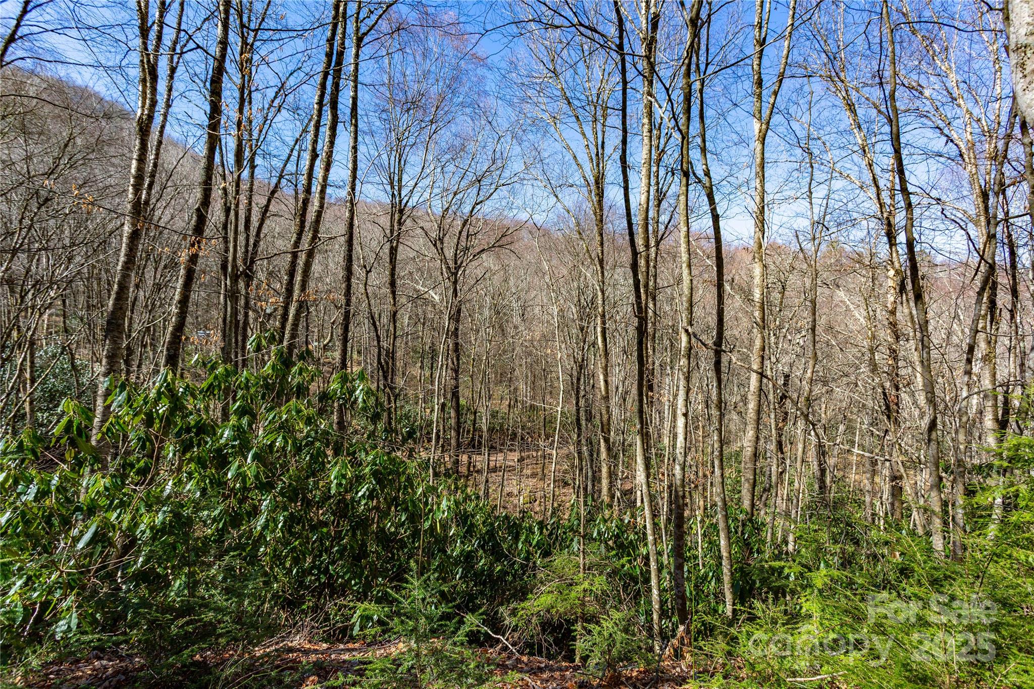 Lot 48 Bearwallow Ridge Trail, Unit 48C Maggie Valley, NC 28751 - Photo 31 of 37