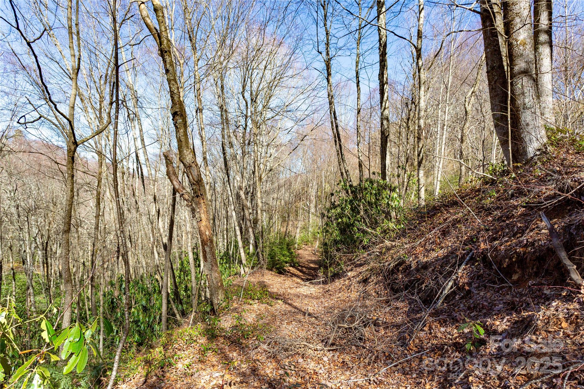 Lot 48 Bearwallow Ridge Trail, Unit 48C Maggie Valley, NC 28751 - Photo 33 of 37