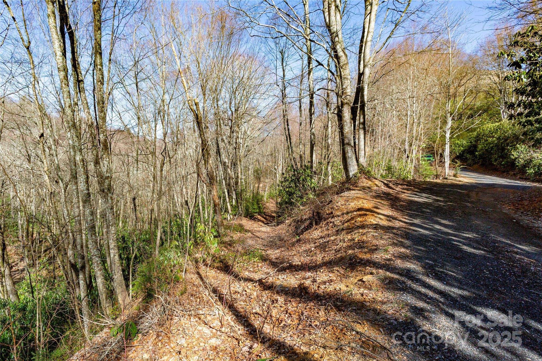Lot 48 Bearwallow Ridge Trail, Unit 48C Maggie Valley, NC 28751 - Photo 35 of 37