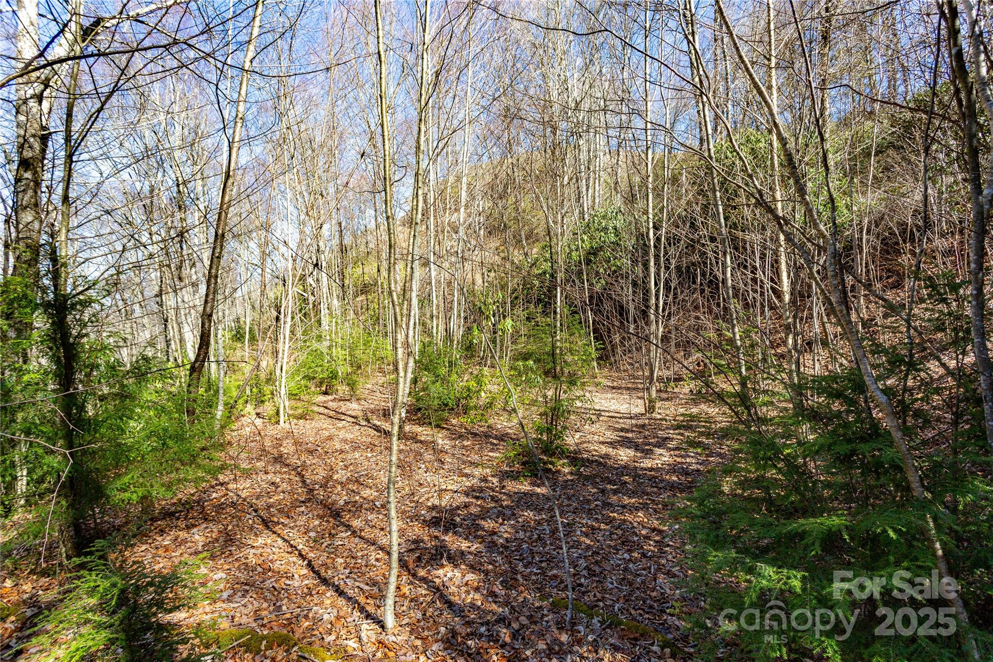 Lot 48 Bearwallow Ridge Trail, Unit 48C Maggie Valley, NC 28751 - Photo 36 of 37