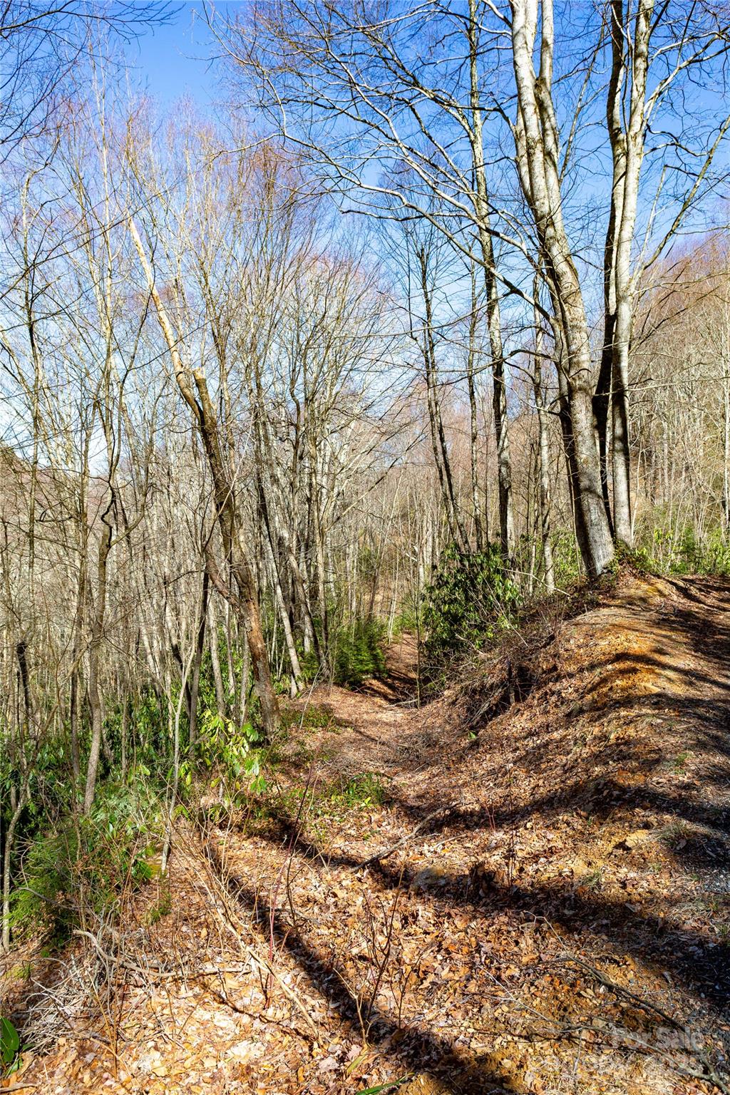 Lot 48 Bearwallow Ridge Trail, Unit 48C Maggie Valley, NC 28751 - Photo 37 of 37
