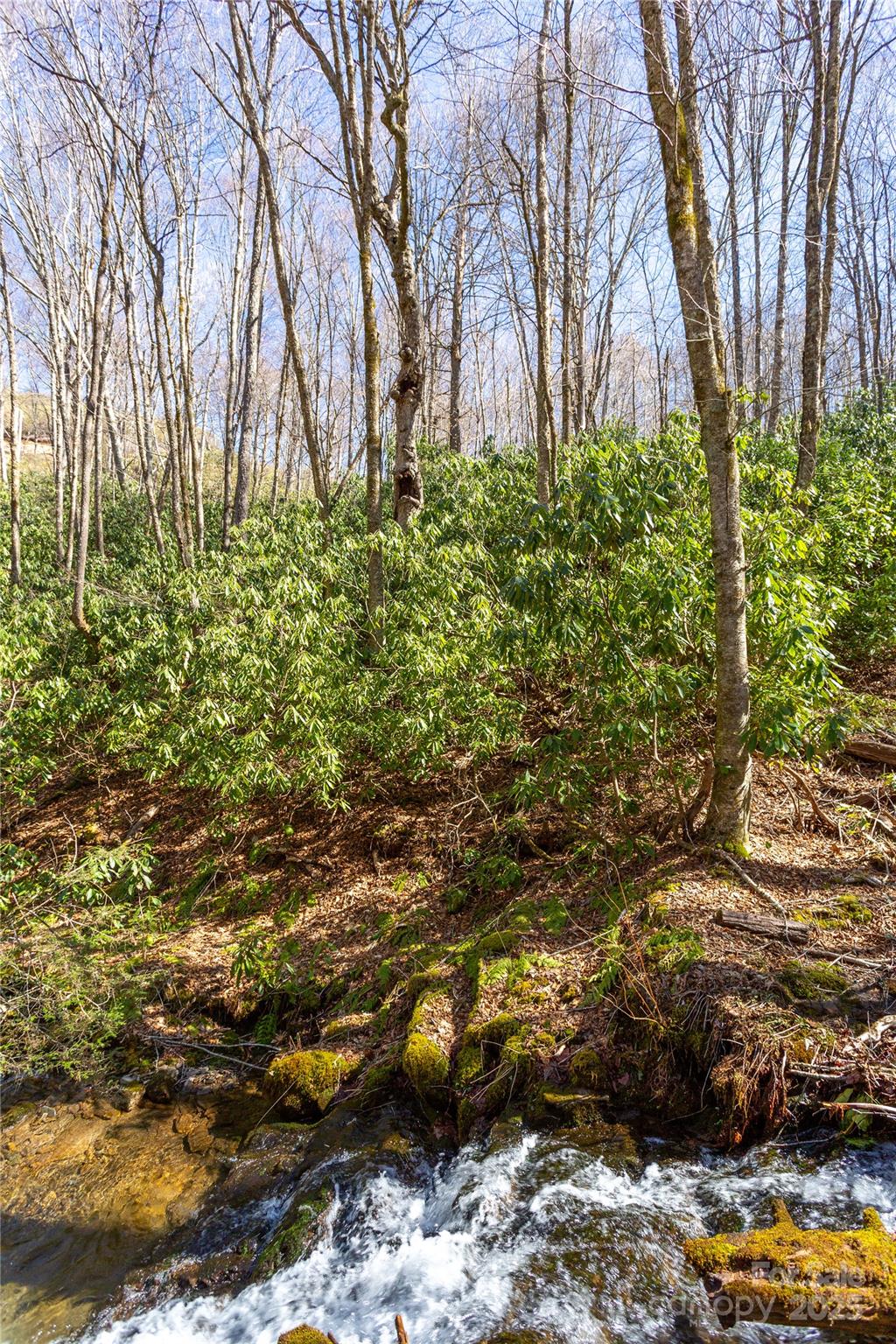 Lot 48 Bearwallow Ridge Trail, Unit 48C Maggie Valley, NC 28751 - Photo 4 of 37