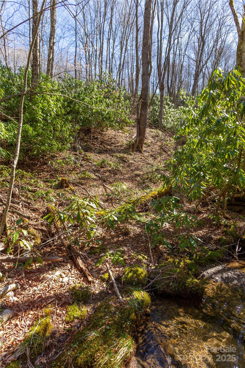 Lot 48 Bearwallow Ridge Trail, Unit 48C Maggie Valley, NC 28751 - Photo 8 of 37