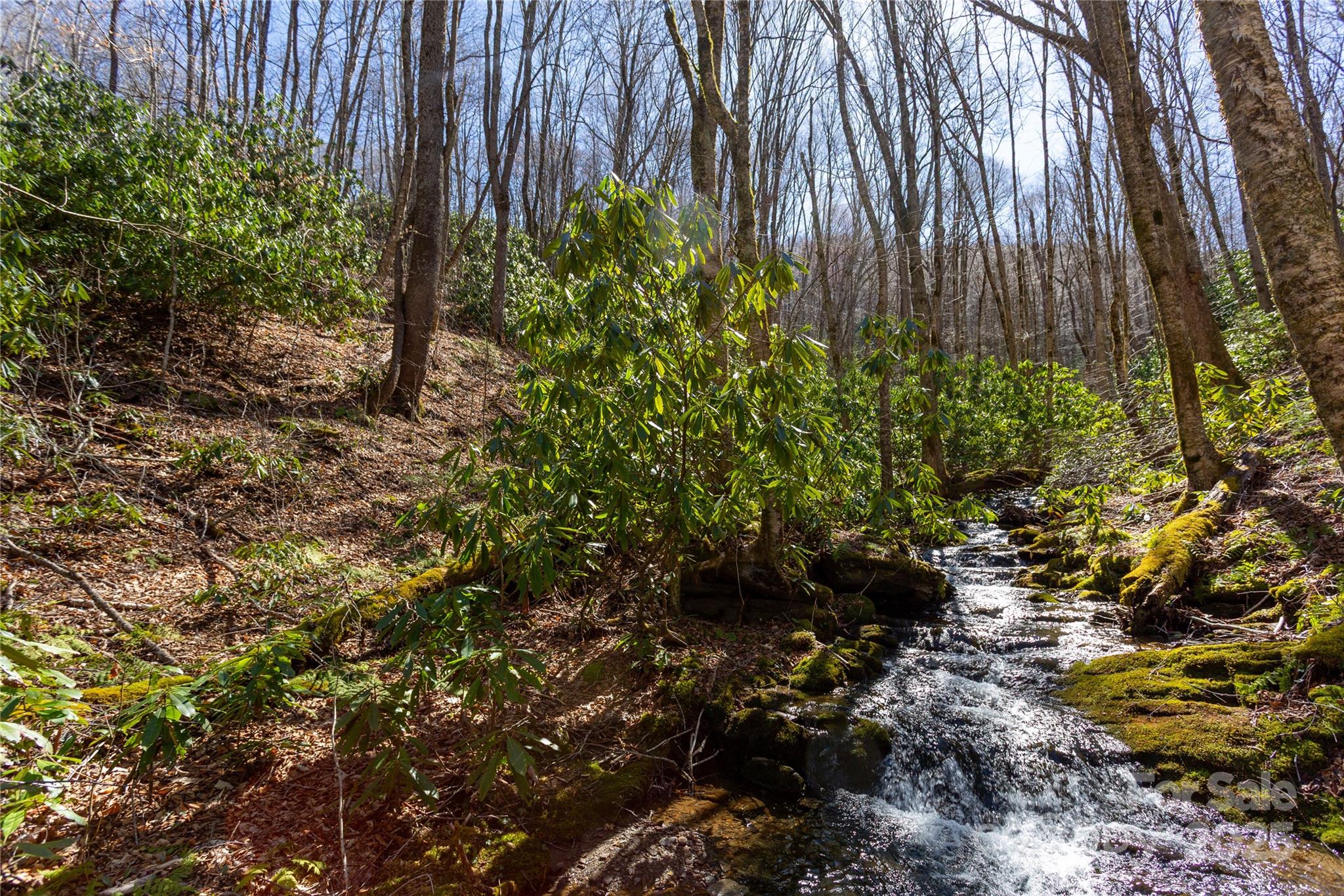 Lot 48 Bearwallow Ridge Trail, Unit 48C Maggie Valley, NC 28751 - Photo 10 of 37