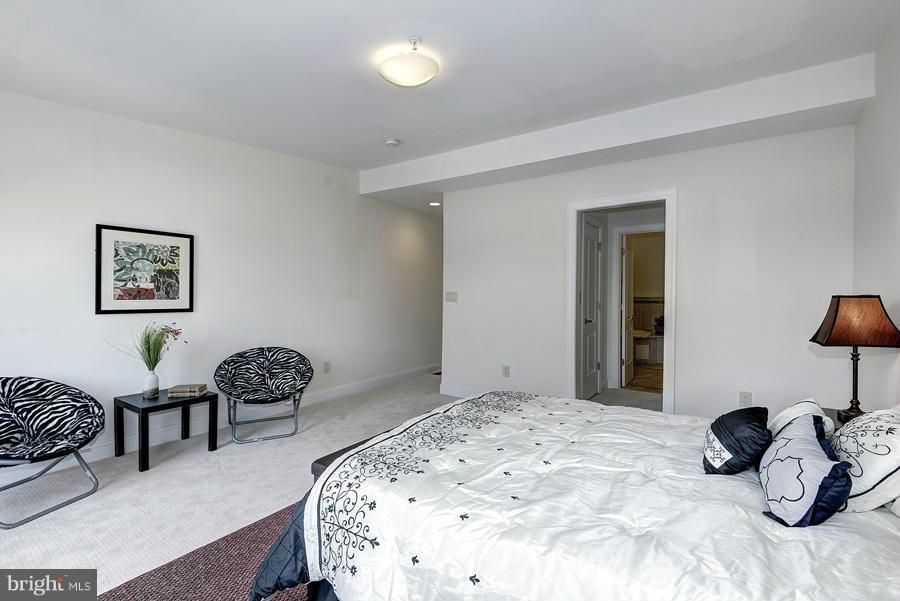 1424 L Street Southeast, Unit 302 Washington, DC 20003 - Photo 18 of 22 Wall to Wall Carpet