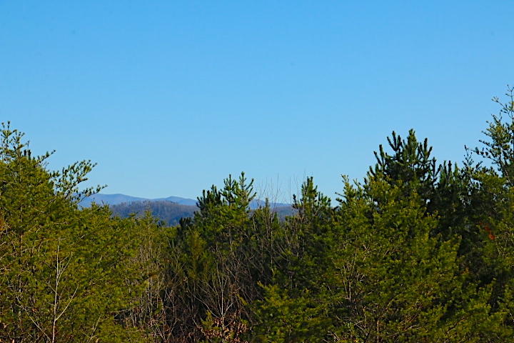 4 Curtis Road Tellico Plains, TN 37385 - Photo 3 of 8 IMG_7510