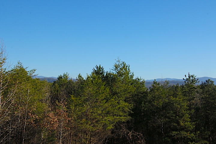 4 Curtis Road Tellico Plains, TN 37385 - Photo 5 of 8 IMG_7508