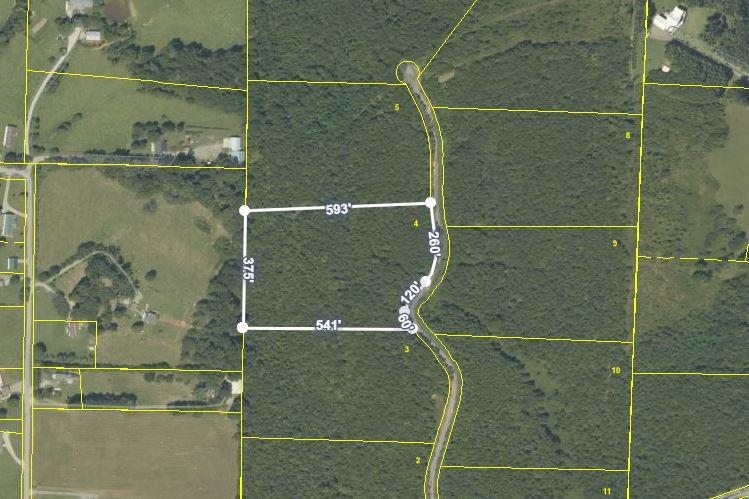 4 Curtis Road Tellico Plains, TN 37385 - Photo 8 of 8 Lot 4 Curtis Rd Aerial